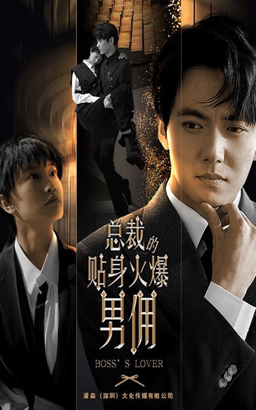 总裁的贴身火爆男佣第1-20集