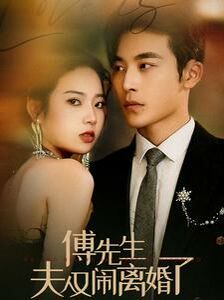 傅先生夫人又闹离婚了第1-20集