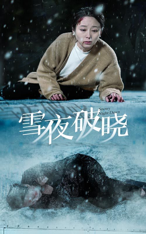 雪夜破晓第1-20集
