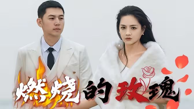 燃烧的玫瑰第31-69集完结(大结局)