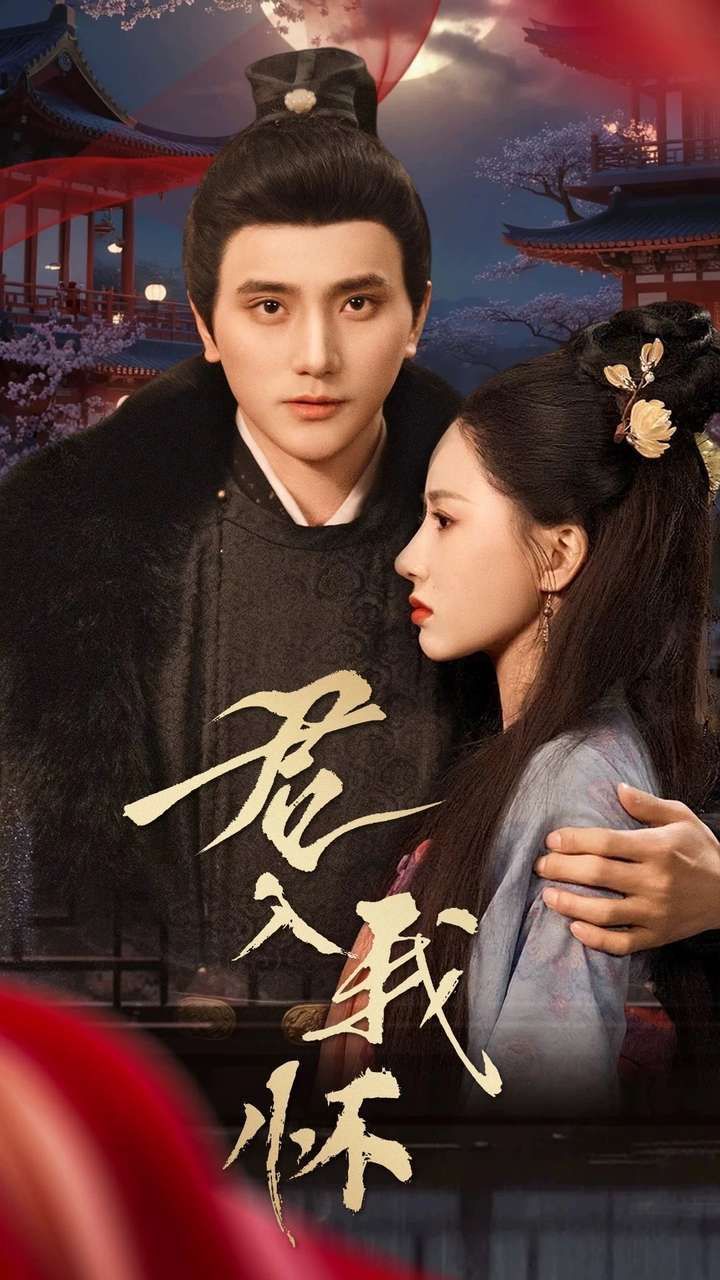 君入我怀第1-20集