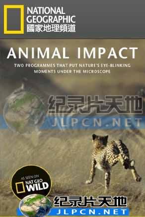 动物构造大揭密第02集(大结局)