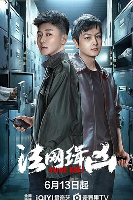 法网缉凶第20集