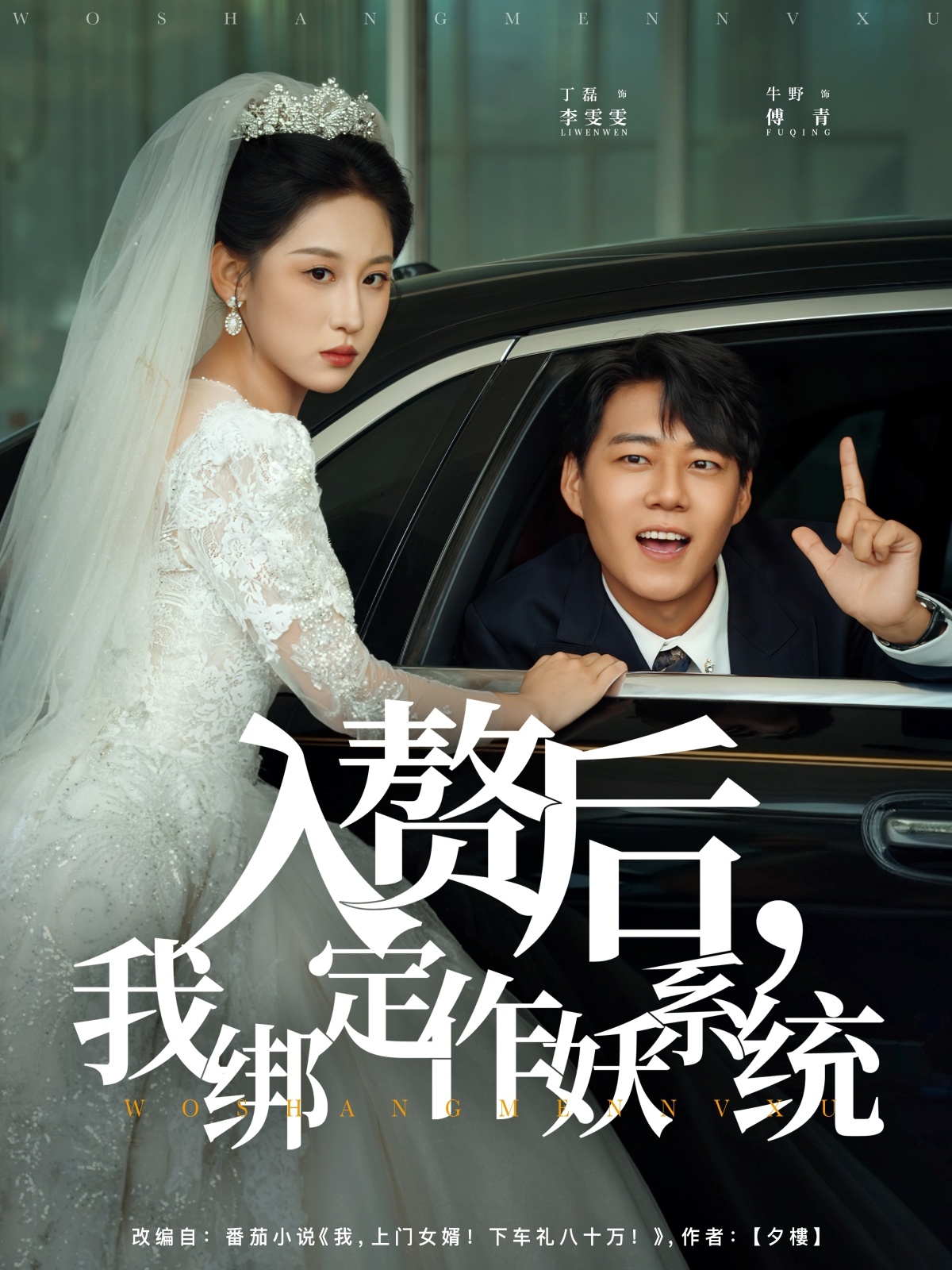 入赘后我绑定作妖系统第41集