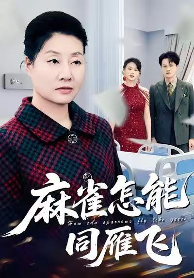 麻雀怎能同雁飞第58集