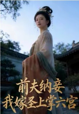 前夫纳妾，我嫁圣上掌六宫(全集)