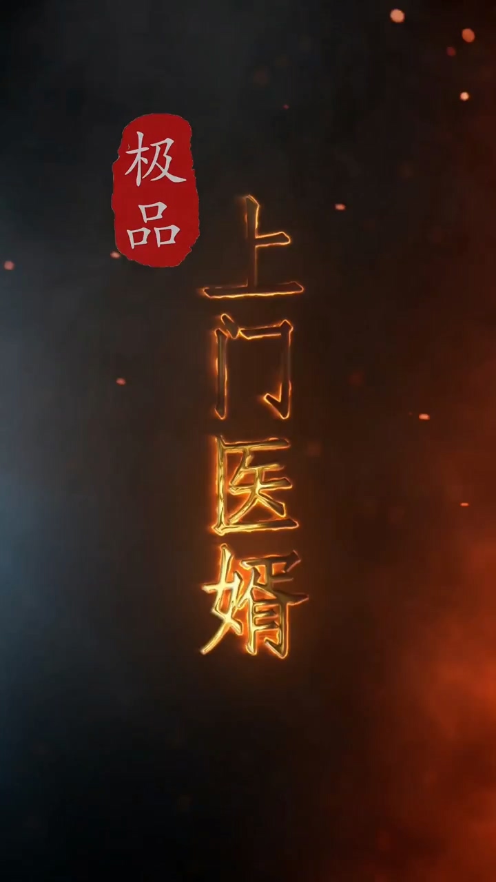 极品上门医婿第06集